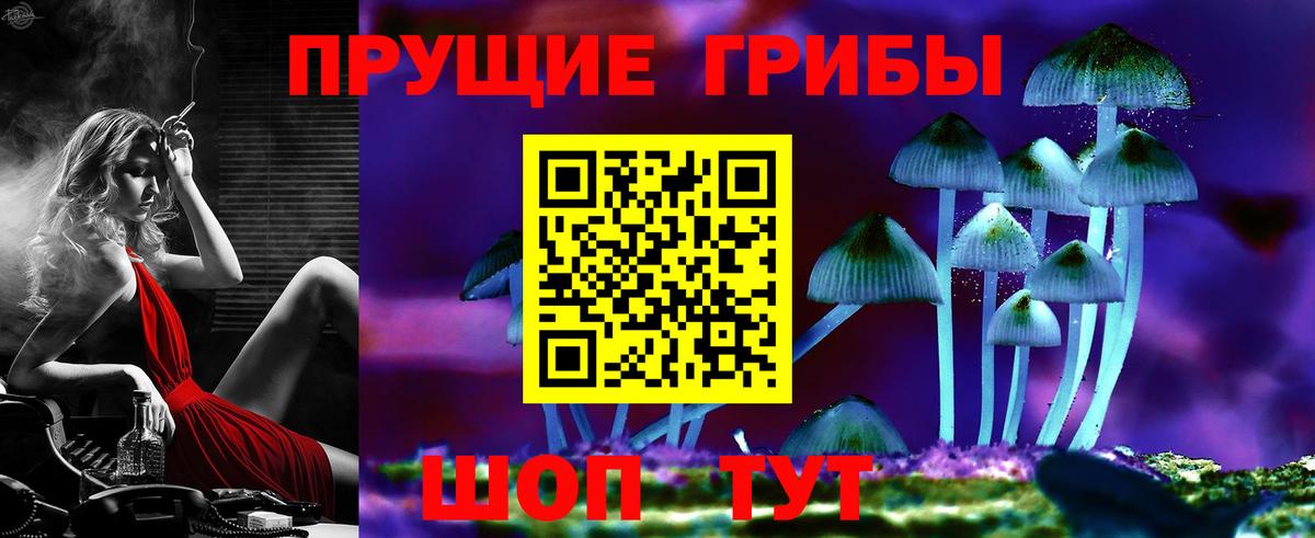 Качканар  Псилоцибиновые грибы GOLDEN TEACHER  Вход с VPN 